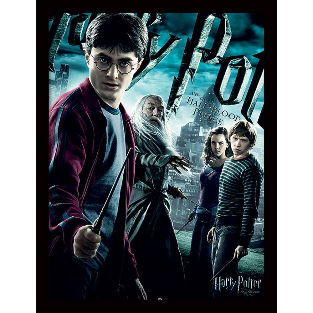 HARRY POTTER ハリーポッター (2027年 ドラマ放送決定 ) - Half - Blood Prince Dramatic / インテリア額 - PGS